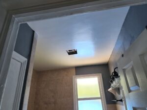 Ceiling Repaired - DURING